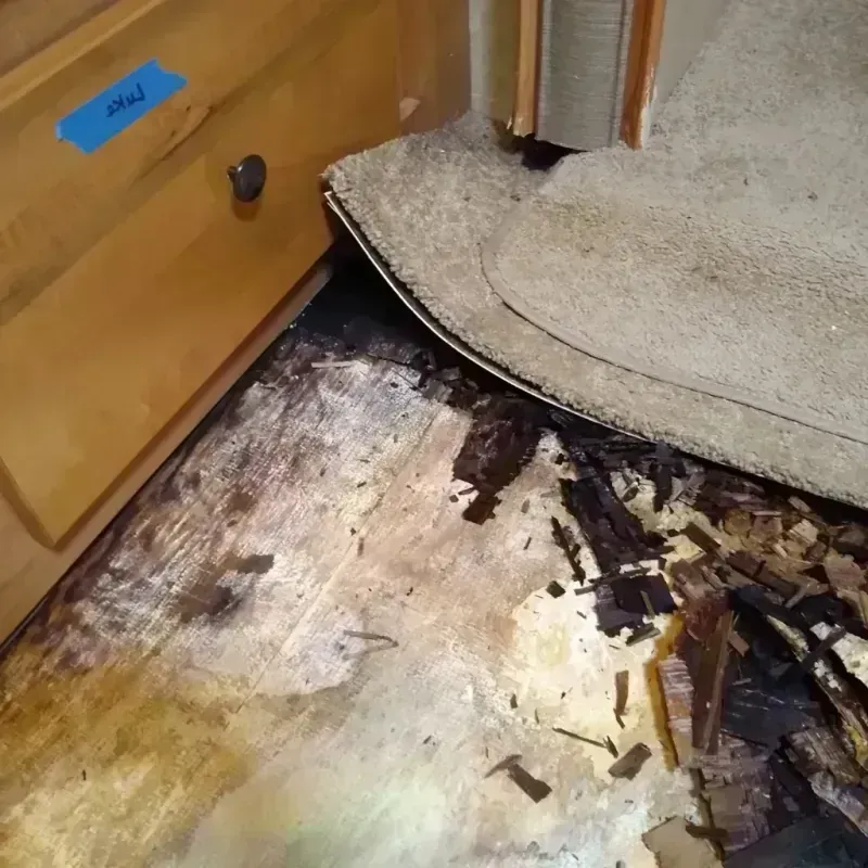 Wood Floor Water Damage in Lockwood, MT